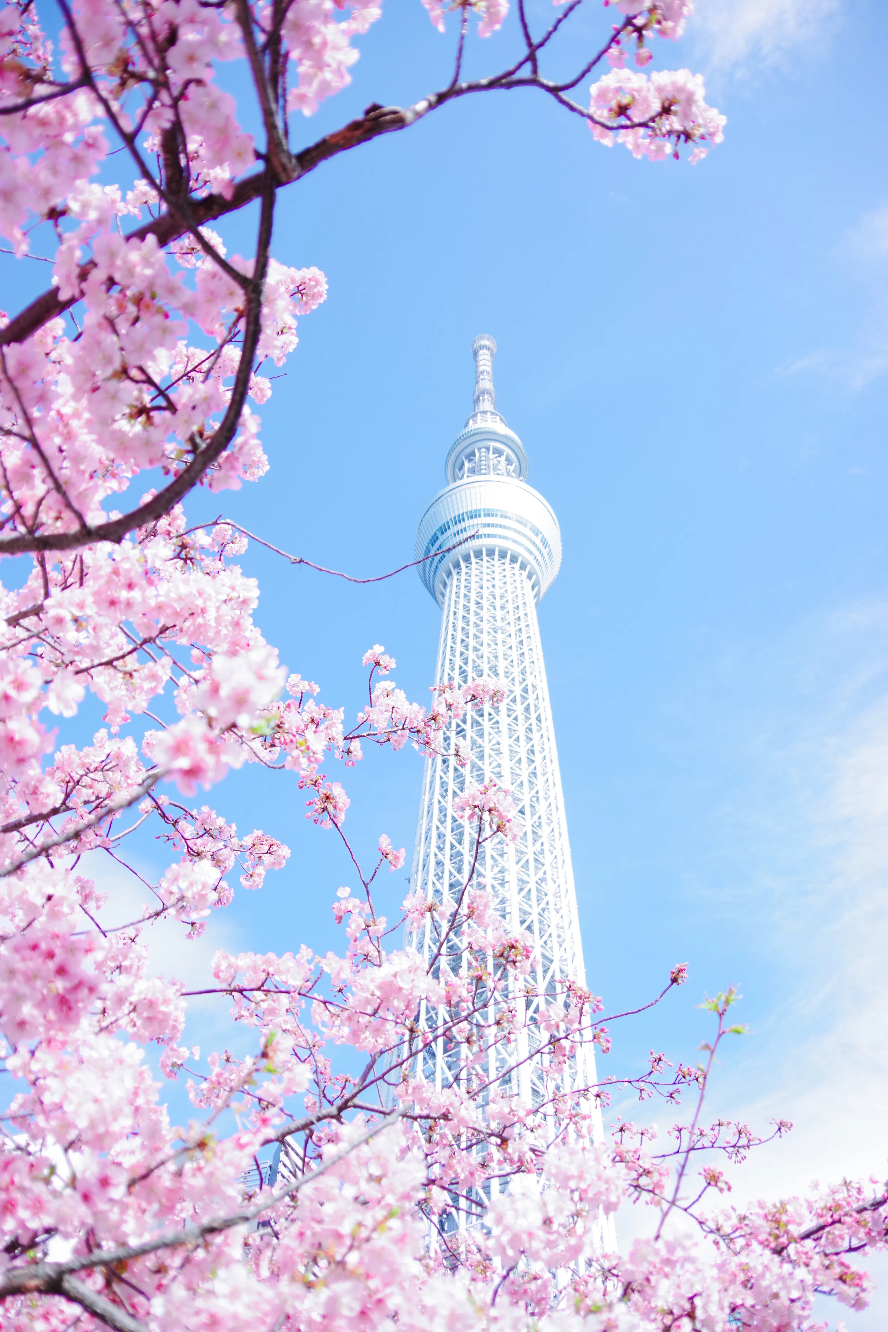 Tokyo, Japan